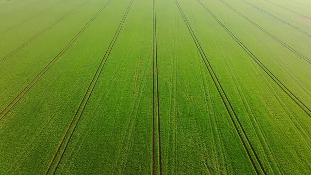 Drone captures artistic farmland textures from above on misty spring day, Latvia
