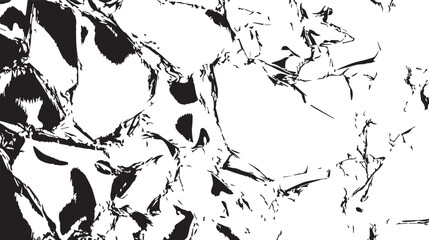 Fototapeta premium Abstract Black and White Texture Dramatic Ink Blot Background