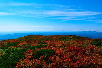 栗駒山の紅葉。栗原、宮城、日本。9月下旬。