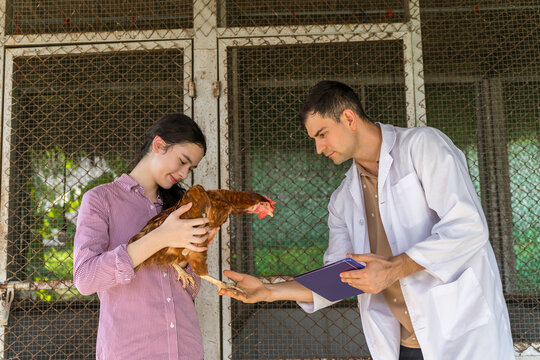 Young female student learning about poultry care. She holds a chicken as she listens to a friendly veterinarian explain animal health practices. Agricultural education, rural farming.