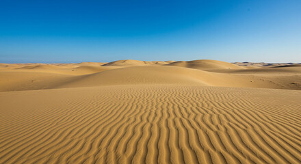 Stunning Wide Landscape of a Desert Dune Field under a Clear Blue Sky on a Sunny Day