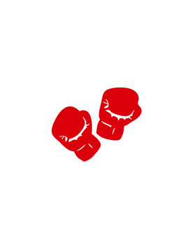 gant boxe boxing