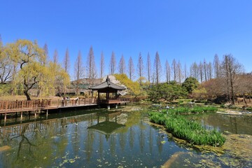 Obraz premium 경상남도수목원의 봄 풍경