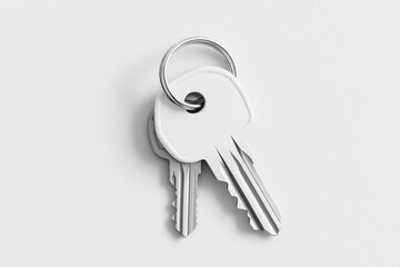 Two keys are placed on a clean white surface, showcasing their metallic shine and minimalist design, symbolizing access and security in various contexts