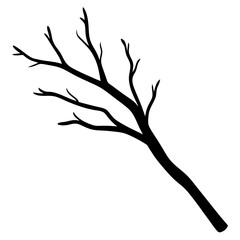 Fototapeta premium silhouette of a tree