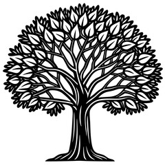 Obraz premium tree with roots