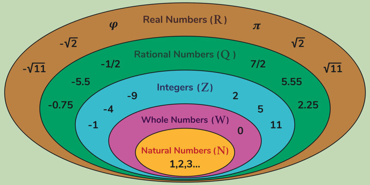 The real number system. Education. Science. School. Vector illustration.