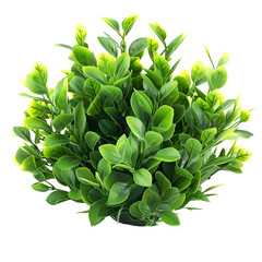 Obraz premium Lush Green Artificial Plant Bush Home Decor