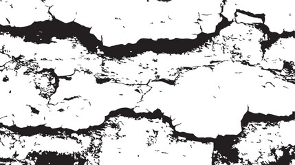 Dramatic Black and White Crack Texture Perfect for Design Projects