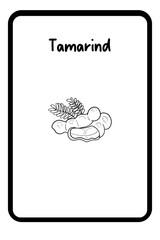 2 - tamarind (3)