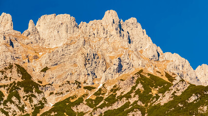 Alpine spring view with Mount Wilder Kaiser in the background at Wochenbrunner Alm, Ellmau, Kufstein, Tyrol, Austria