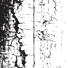 Monochromatic Crackle Texture Abstract Black and White Background