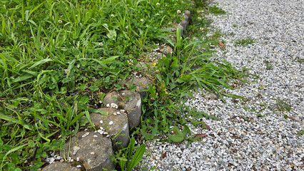 Curved stone garden border separates a patch of green grass and clover from a gravel path, with scattered white clover flowers and weeds growing along the edge in a natural outdoor setting