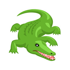 Crocodile