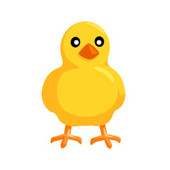 Front-Facing Baby Chick