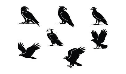 set of seven bird silhouettes including eagle, hawk, and crow in flight and perched poses, ideal for design, logo, or wildlife projects