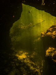 Sunbeams shine through the clear tannic yellow waters of rocky Charles Spring County Park, Florida