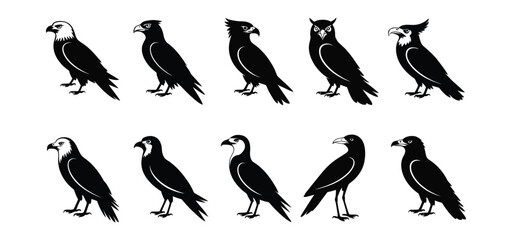 collection of black and white bird silhouettes including eagle, owl, and parrot in various poses, ideal for wildlife and design themes