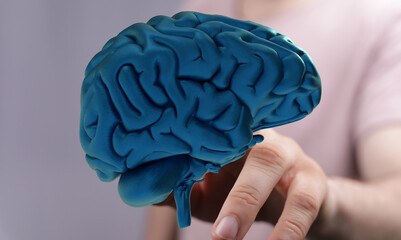 3D model of human brain. Ideal for neuroscience, neurology, psychology, and cognitive function...