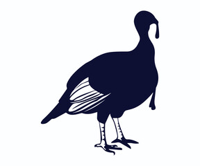 turkey bird vector illustration, silhouette of turkey vector art