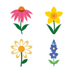 Vibrant Spring Flowers Daisy, Daffodil, Coneflower, Delphinium Illustrations