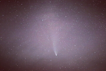 Neowise