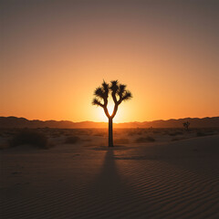 Capturing the Tranquility of a Minimalist Desert Sunset
