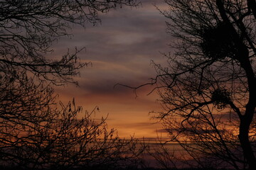 Fototapeta premium the types of sunset/ sunrise