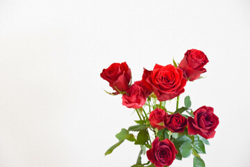赤い薔薇