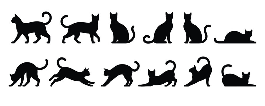 black cat silhouettes set in various dynamic poses including walking, sitting, stretching and playing for design and illustration use