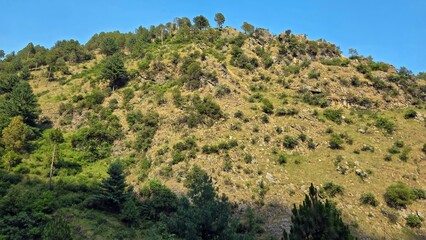 Lush green landscape, featuring gentle hills, vibrant flora, symbolizing outdoor exploration, nature, and relaxation