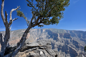 Jebel Akhdar, Grand Canyon of Oman.