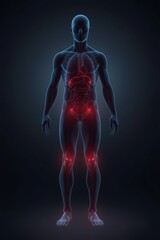 A full-body human silhouette with a subtle glowing red aura around internal organs and joints representing systemic low-grade inflammation