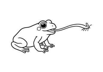 Frog tongue drawing. It is a black and white outline image of a frog extending its tongue to catch an insect, capturing a moment of hunting action. Vector sketch line art draw.