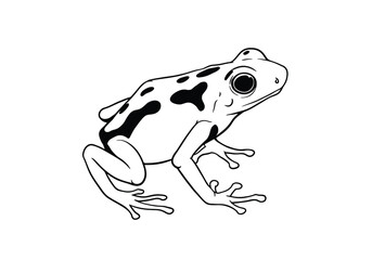 Dart frog drawing. It is a black and white outline image of a dart frog, showcasing its distinctive spotted pattern and slender form. Vector sketch line art draw.