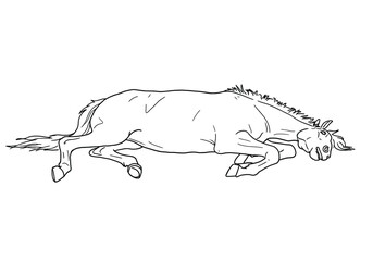 Dead horse drawing. It is a black and white outline image of a dead horse, depicting a lifeless and fallen equine in a prone position. Vector sketch line art draw.