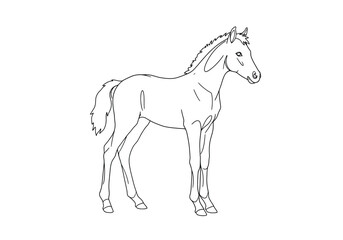 Foal drawing. It is a black and white outline image of a young horse or foal, depicting a cute and innocent equine. Vector sketch line art draw.