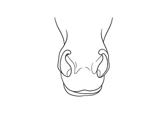 Horse nose drawing. It is a black and white outline image of a horse's nose and muzzle, showing the nostrils and a portion of the mouth. Vector sketch line art draw.