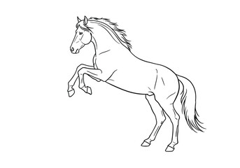 Horse rearing drawing. It is a black and white outline image of a horse rearing up on its hind legs, showcasing a powerful and dynamic pose. Vector sketch line art draw.