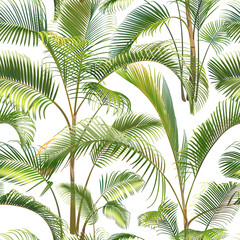 Seamless pattern with green palm tree branches isolated on a white background. Desert and tropical houseplants. 

