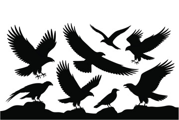 Black eagle silhouette vector images flying eagles and standing eagle collection
