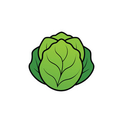 cabbage isolated on white background