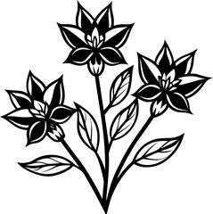 black and white floral design