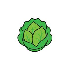 cabbage isolated on white