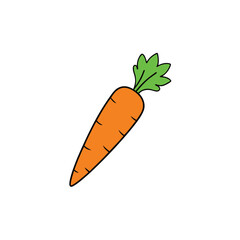 carrot vector illustration