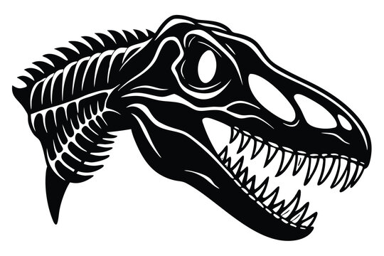 dinosaur skull skeleton silhouette vector illustration ancient reptile fossil head digital artwork