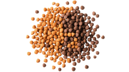 Colorful array of small, round seeds scattered on a clean white surface, highlighting unique textures and tones, creating a visually striking composition in natural light.