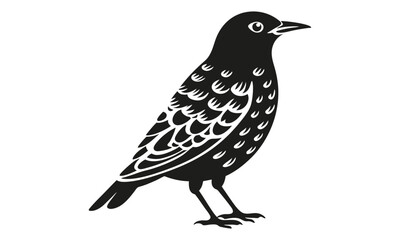 Elegant Black and White Bird Illustration A Stunning Avian Design