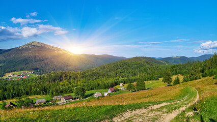 Mountain Path Meadow Summer Landscape