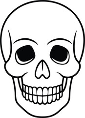 Symmetrical Skull Line Drawing – Clean Human Skull Outline Vector